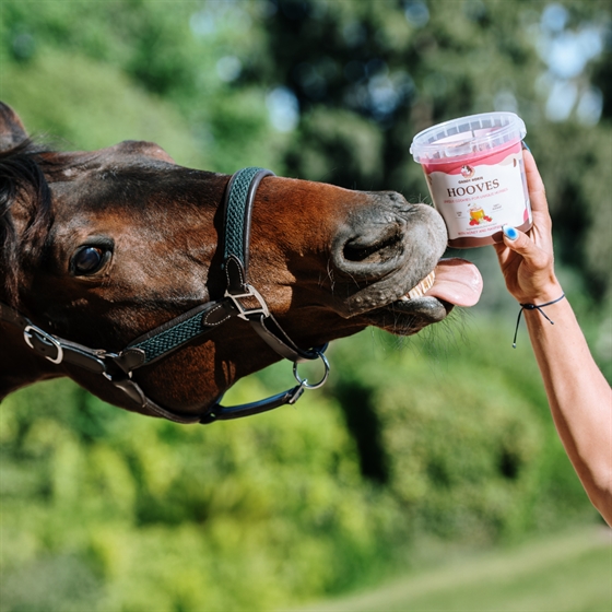 Candy Horse hestegodbidder Hooves 1,2 liter spand 