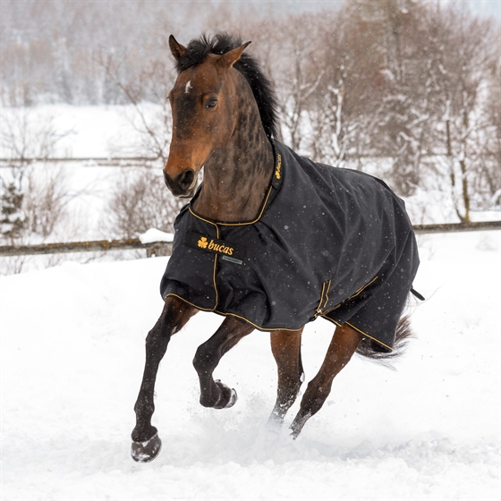 Bucas Irish 150 gram