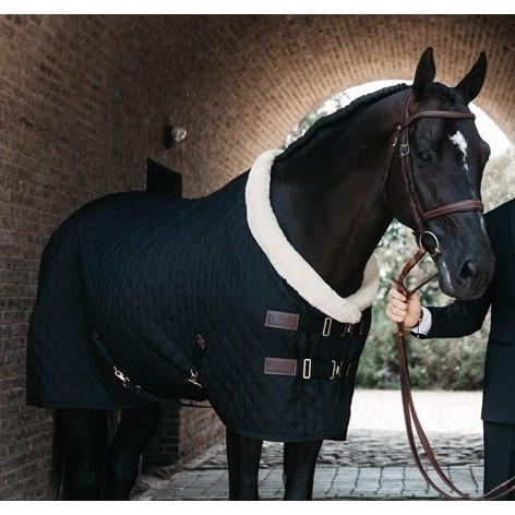 Kentucky Show rug 160 gram black