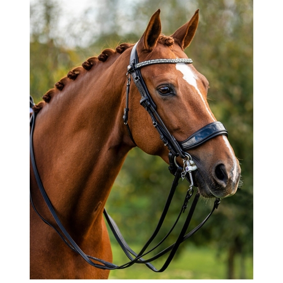 Presteq FayRein kandartøjler Outlet