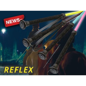 Fleck reflex pisk