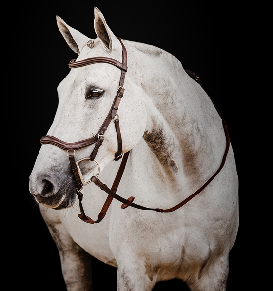 Horseware Micklem 2 Deluxe Competition 
