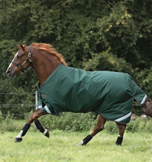 Rambo Original Turnout 100gram 