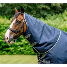 Navy/Titanium Grey & Silver