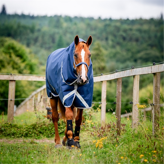 Horseware Amigo 1200D plus Turnout 100 gram