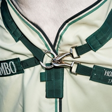 Green/sage/Beige