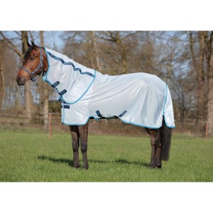 Amigo Bug Rug Electric Blue