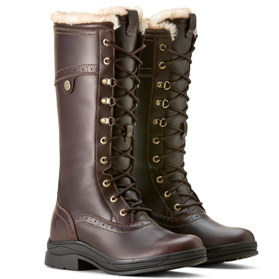 Ariat Wythburn II H20 Dame Dark Mocca