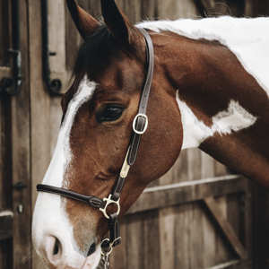 Kentucky grooming grime