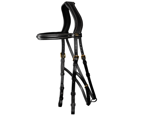 Dy\'on Hackamore trense US Collection