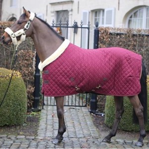 Kentucky Show rug 160 gram bordeaux