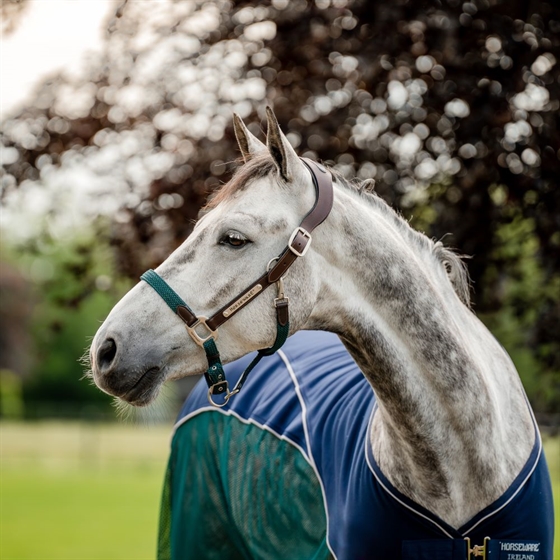 Horseware Signature Braided grime 