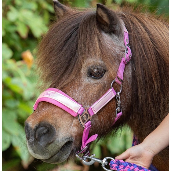Harry\'s Horse grimesæt Diva Violet