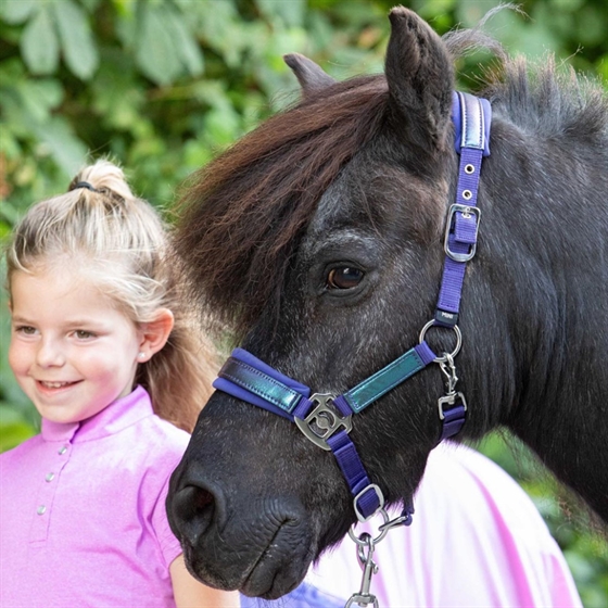 Harry\'s Horse grimesæt Diva Violet