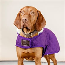 Kentucky hundedækken Royal Purple