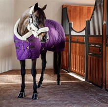 Kentucky Show Rug dækken 160 gram Purple