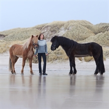 Eques KLHekla dame jodhpur ridebukser