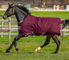 Horseware Amigo Hero Ripstop regndækken Lite 0 gram Outlet