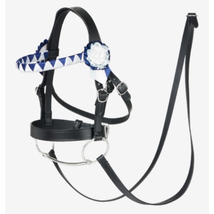 LeMieux Hobby Horse Showing Trense