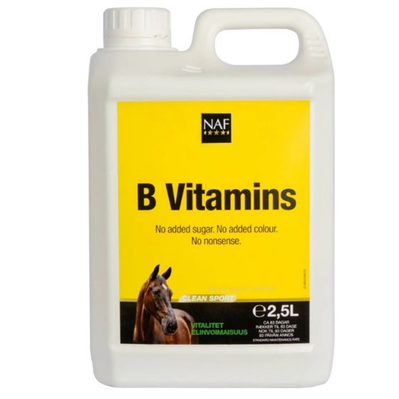 NAF B-Vitamin 
