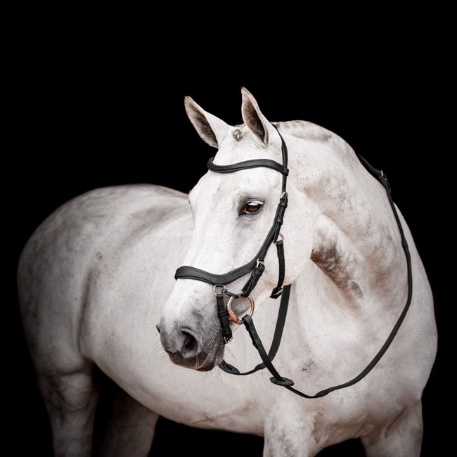 Horseware Micklem 2 Competition 