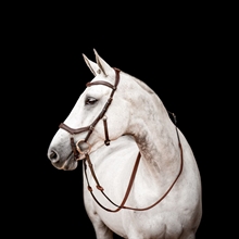 Horseware Micklem 2 Competition 