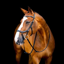 Horseware Micklem 2 Diamant Competition trense