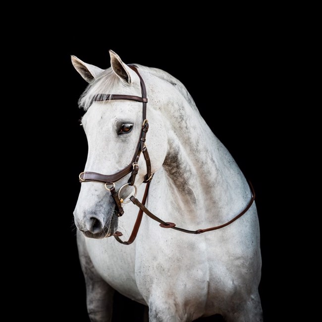Horseware Micklem 2 Multi bridle trense