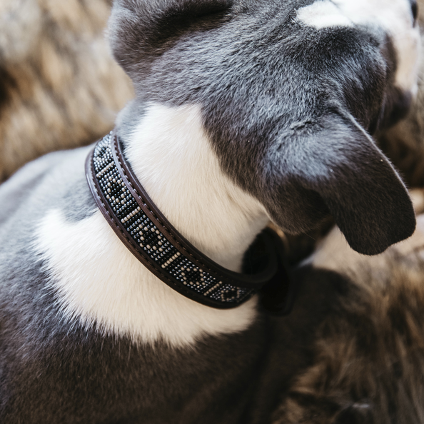 Kentucky hundehalsbånd handmade Pearls 
