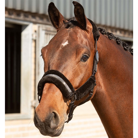 Harry\'s Horse grimesæt Denici Cavalli Stardust